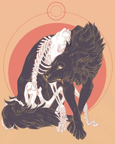 Animal Skeleton, A Wolf, An Animal, A Drawing, Instagram Account, Skeleton, A Photo, Bar, On Instagram