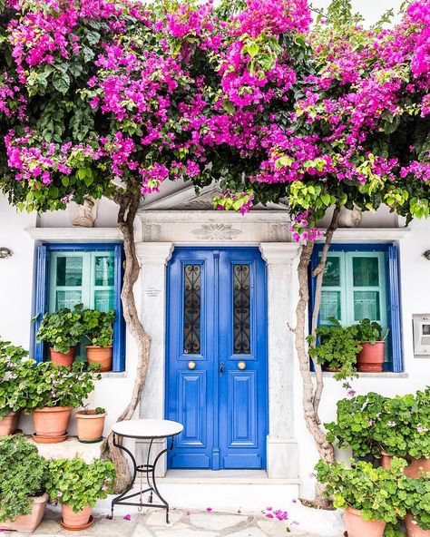 House with a blue door and purple bougainvillea flowers on the island of Tinos in Greece #house #door #facade #tinos #greece Tinos Greece, Greece House, Blossom House, Best Greek Islands, نباتات منزلية, Wildlife Garden, Island House, Garden Gate, Blue Door