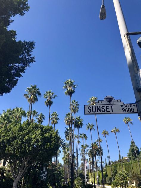 A guide to Beverly Hills #beverlyhills #westside #losangles Sunset Boulevard Los Angeles, Los Angeles Sunset Boulevard, Sunset Boulevard Aesthetic, La Beverly Hills, Beverly Hills Lifestyle, Los Angeles Lifestyle Aesthetic, Beverly Hills Wallpaper, Beverly Hills Aesthetic, Los Angeles Vibes