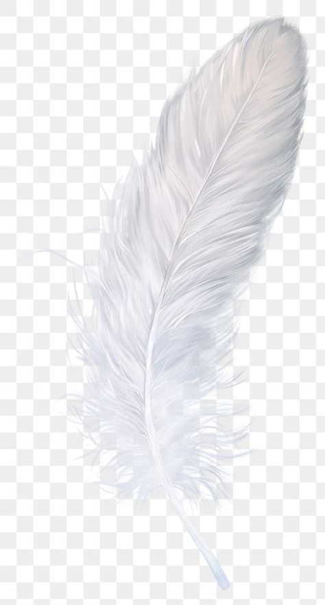 Feather Png, Png Angel, Angel Wings Png, Feather Stickers, Wings Png, Angel Feather, Feather Angel Wings, Angel Feathers, Black Clover Anime