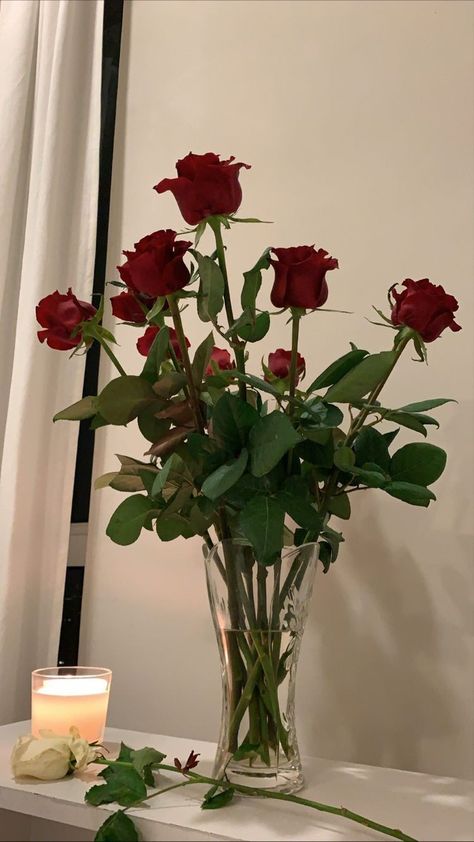 Aesthetic Real Life, Romantic Academia Aesthetic, 2000s Scene, Dark Red Roses, Romantic Academia, Flowers And Gifts, Coffee Flower, Flower Vase Arrangements, House Vibes