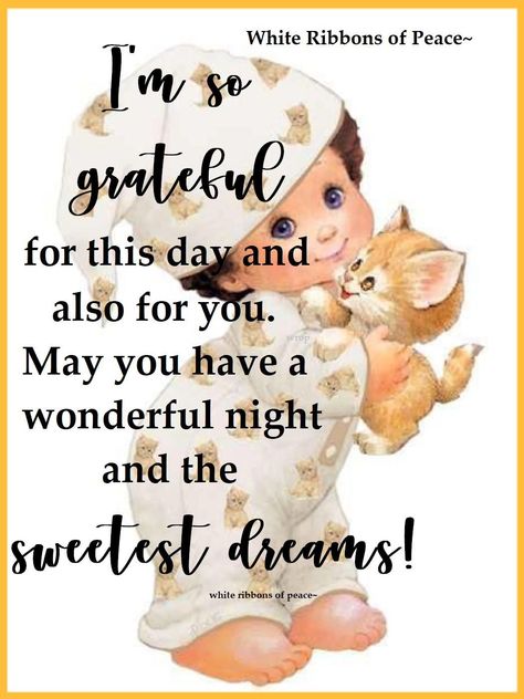 I'm So Grateful For This Day And Also For You. May You Have A Wonderful Night And The Sweetest Dreams Pictures, Photos, and Images for Facebook, Tumblr, Pinterest, and Twitter Sweetest Dreams Quotes Good Night, Good Night Best Friend, Good Night Daughter, Good Night Humor, Good Night Wishes Cute, Good Night Inspirational Quotes, Goodnight Cute Images, Inspirational Good Night Quotes, Greetings English