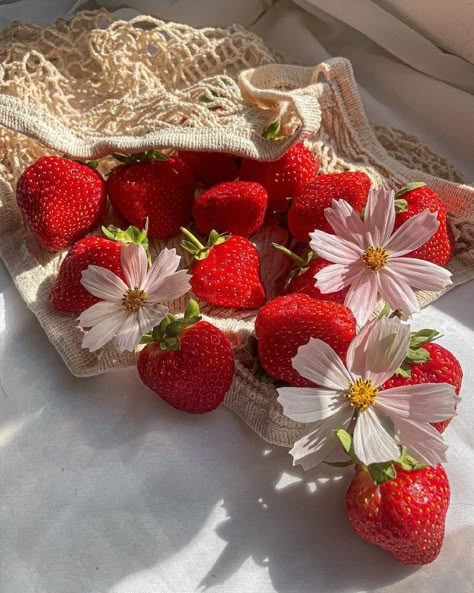 Strawberry Summer, Soft Pink Theme, Cute Backgrounds For Phones, Picnic Date, Online Quiz, Generate Leads, Red Strawberry, Strawberry Fields, Increase Sales