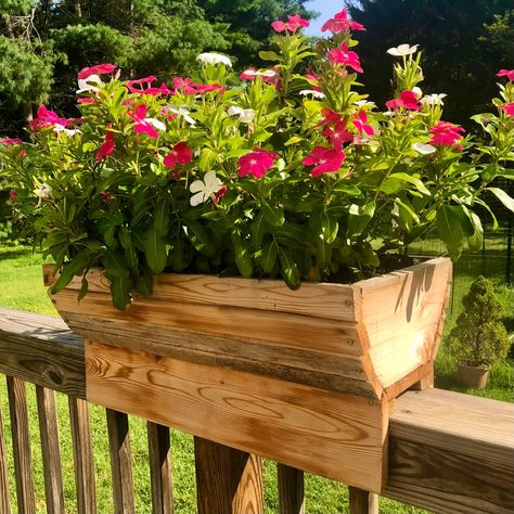 Deck Railing Planters, Balcony Flower Box, Lumber Sizes, Planter Box Plans, Deck Planters, Cedar Planter Box, Cedar Deck, Cedar Lumber, Railing Planters