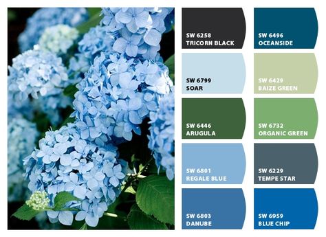 Blue Hydrangea Inspiration Palette Chip It! by Sherwin-Williams – ChipCard by Christy C. Hydrangea Color Palette, Blue Paint Color, Exterior Color Palette, Hydrangea Blue, Hydrangea Painting, Hydrangea Colors, Paint Color Palettes, Sherwin Williams Paint Colors, Color Psychology