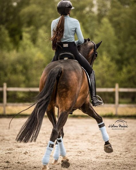 Horse Dressage, Dressage Horses, Photographs Ideas, Sport Horse, Horse Life, Horse Photos, Pretty Horses, Pose Reference Photo, Horse Love