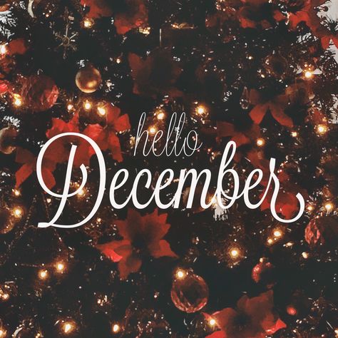 19th Birthday Dinner, Hello December Images, Studying For Finals, December Images, December Wallpaper, Hello January, Seasons Months, Christmas Memes, Xmas Wallpaper