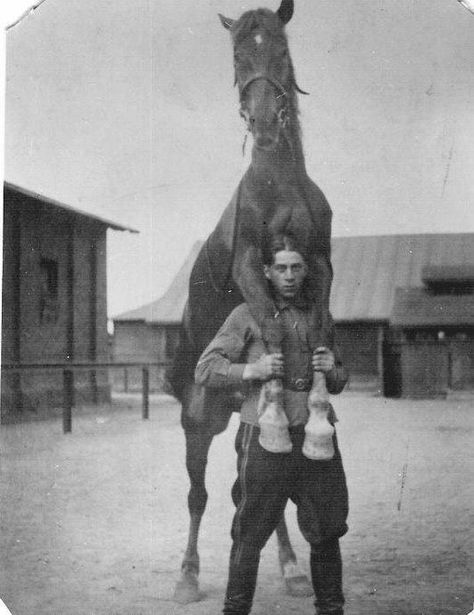 Horse And Human, Human Relationship, Horse Life, Horse Training, Horse Photography, Horse Pictures, Horse Girl, Horse Art, Vintage Pictures