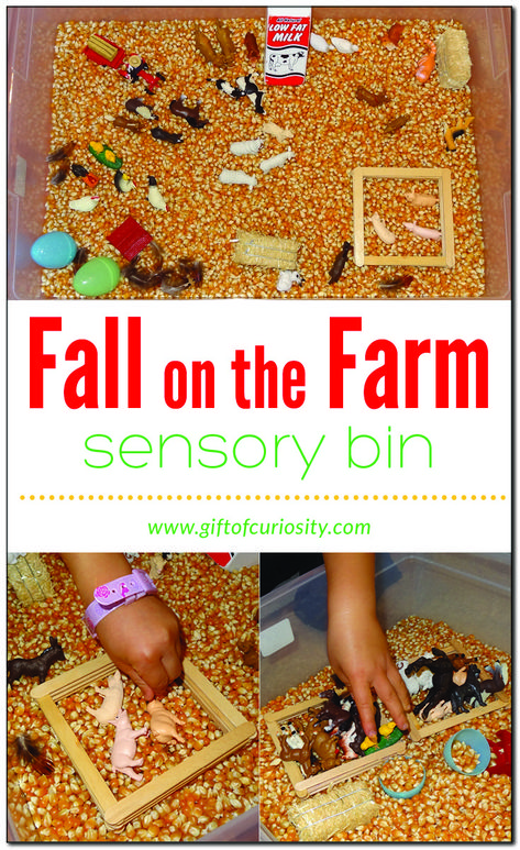 Fall on the farm sensory bin - Gift of Curiosity Chinese New Year For Kids, New Year For Kids, Ocean Sensory Play, Farm Sensory, Farm Sensory Bin, Fall On The Farm, Ocean Sensory, Fall Sensory Bin, Toddler Sensory Bins