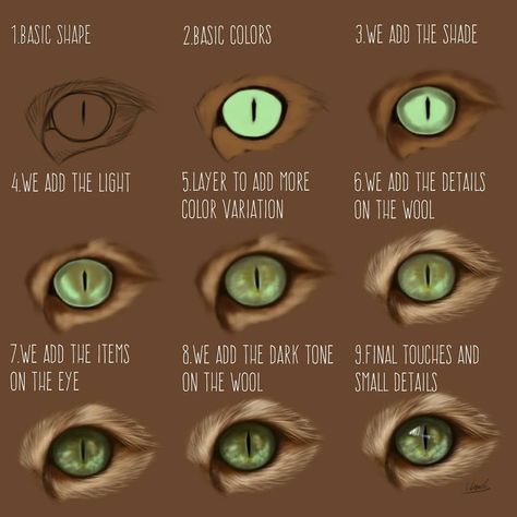 Someone asked for a tutorial on how to draw a cat's eye, so here it is! ⚠️You can always give me suggestions for future tutorials⚠️✏💜 App:… Cat Eye Painting, Cat Eye Drawing, Realistic Cat Drawing, How To Draw Cats, Cat Eyes Drawing, Cat Eye Tutorial, Draw Cats, Draw A Cat, Illusions Art