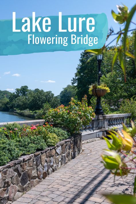 Lake Logan Nc, Lake Lure Flowering Bridge, Lake Lure North Carolina Things To Do, Lake Toxaway Nc North Carolina, Lake Lure North Carolina, North Carolina Attractions, North Carolina Lakes, Visit North Carolina, North Carolina Vacations