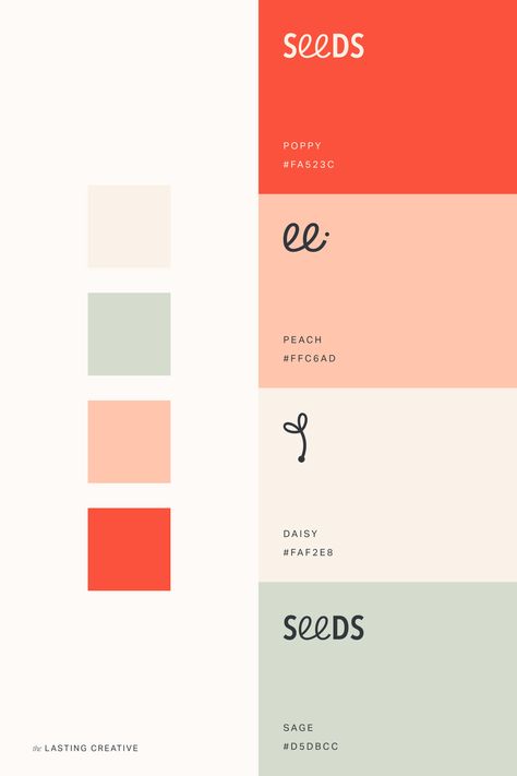 Friendly Design Branding, Color Pallete For Website Design, Friendly Colour Palette, Citrus Colour Palette, Cottagecore Branding Design, Creative Colour Palette, Colour Branding Palette, Fun Color Combinations, App Colour Palette