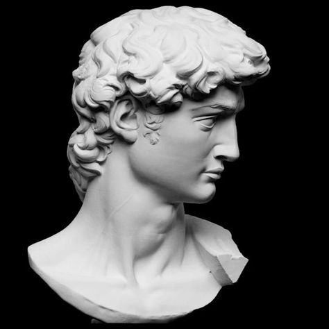 'scan the world' offers thousands of the most iconic artworks for 3D print David By Michelangelo, Statue Of David, Michelangelo's David, Drukarka 3d, Sculpture Head, Classic Sculpture, Iconic Artwork, Head Statue, Auguste Rodin