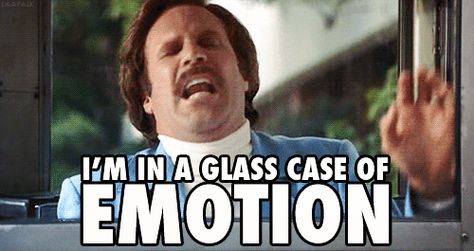 With only a week left of classes, now may seem like the perfect time to enter panic mode Anchorman Quotes, What Are You Like, Anchorman, Will Ferrell, Good Notes, Cultura Pop, Movie Quotes, Funny Images, Content Marketing