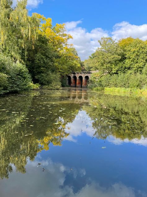 Hampstead Heath Ponds, Hampstead Heath Aesthetic, London Hampstead Heath, Environment Moodboard, 2024 Intentions, Hampstead London, Days Out In London, Writing Retreat, London Boy