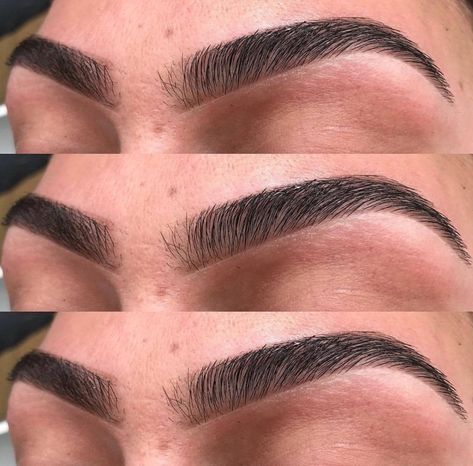 Threaded Eyebrows, Thick Eyebrow Shapes, Eyelash Goals, Eyebrow Goals, Eyebrows Goals, Perfect Eyebrow Shape, Eyebrow Design, Eyebrow Shapes, Eyebrow Threading