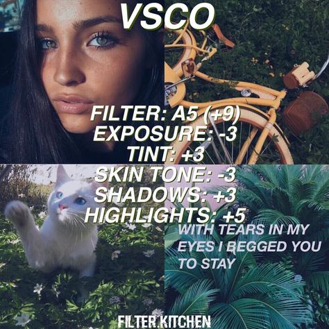 Type: free this is a really cute tropical/green filter Vsco Filter Free, Green Filter, Vsco Themes, Vsco Tutorial, Vsco Cam Filters, Vsco Photography, Vsco Edit, Vsco Presets, Photography Filters