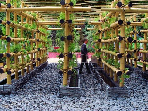 vertical farm Vertical Vegetable Garden Design, Garden Mulch, Vertical Vegetable Gardens, Gutter Garden, Vertical Garden Design, Vertical Vegetable Garden, Vertical Herb Garden, Vertical Farming, Bamboo Garden