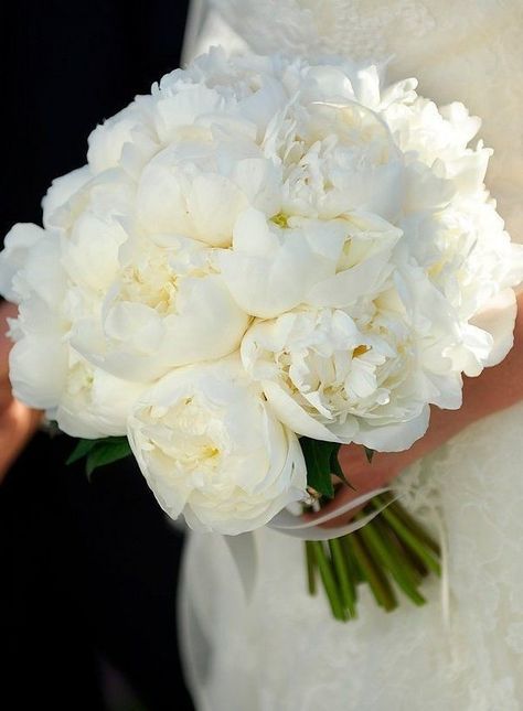 Wedding Flower Guide, Santa Fe Wedding, Bridal Bouquet Flowers, Flower Guide, White Bridal Bouquet, White Wedding Bouquets, Funny Wedding, White Wedding Flowers, Wine Wedding