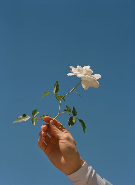 Natural Beauty Photography, Wonderland Magazine, Anne Frank, Wallpaper Free, + Core + Aesthetic, Fashion Photography Editorial, Retro Aesthetic, Blue Aesthetic, Aesthetic Photo