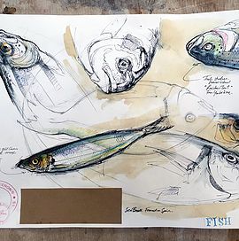 Art Sketchbook Pages, Duncan Cameron, A Level Sketchbook, Ideas Sketchbooks, Fish Sketch, Textiles Sketchbook, Gcse Art Sketchbook, Observational Drawing, Artist Sketchbook