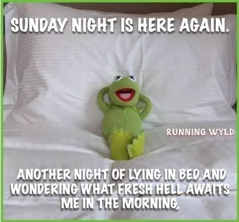 Sunday Night Humor, Night Humor, Funny Animal Sayings, Kermit Memes, Animal Sayings, Kermit Funny, Sassy Shirts, Random Funny Things, Theme Days