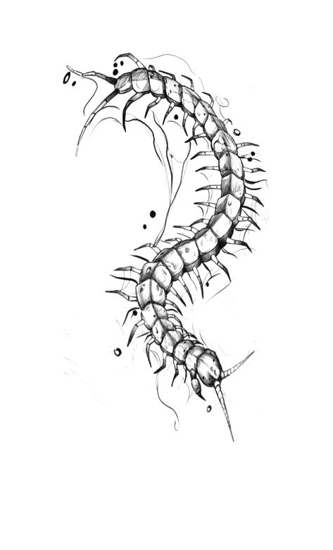 Centipede Drawing Tattoo, Centipede Spine Tattoo, Tokyo Ghoul Centipede, Centipede Tattoo Design, Centipede Tattoo, Spaceship Drawing, Funky Tattoos, Tattoo Design Book, Spine Tattoo