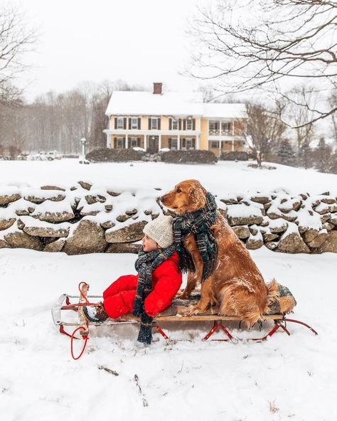 Forever Puppy, Kiel James Patrick, James Patrick, Winter Photo, Christmas Feeling, Swipe Right, Boy Dog, Winter Dog, Dog Sledding