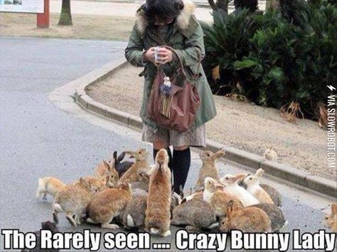 Single women have more options than ever before! Bunny Island, Crazy Bunny Lady, Bunny Meme, Rabbit Island, Bunny Lady, Rabbit Life, Funny Animals With Captions, Wild Rabbit, Cat Box