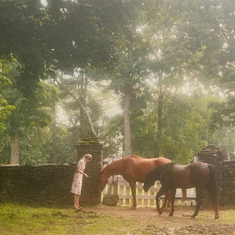 Feeding Horses, East Coast Aesthetic, American Countryside, Horse Riding Aesthetic, East Coast Style, Italian Aesthetic, Sisters Art, Playing Outside, Picking Flowers