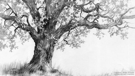 Oak tree - tutorial by micorl on DeviantArt Oak Tree Drawings, Trees Drawing Tutorial, Branch Drawing, Oak Tree Tattoo, Tree Drawings Pencil, Pencil Drawing Tutorials, Behind Blue Eyes, Drawing Eyes, Texture Drawing