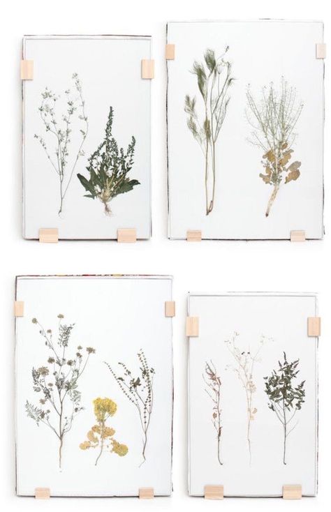 Art in an Instant: 12 Quick Ideas Using Floating Glass Frames Pressed Greenery Framed, Greenery Prints, Pressed Plants, Dried Foliage, Koti Diy, Framed Plants, Pressed Flower Art, Handmade Home Decor, Art Display