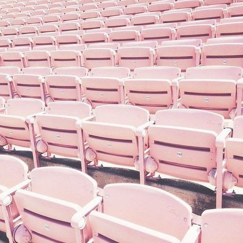 Nettle Studios, Pale Dogwood, Grand Opening Party, Light Pink Hair, Black Dining Room Chairs, Stadium Seats, Millennial Pink, Aesthetic Light, Pink Chair