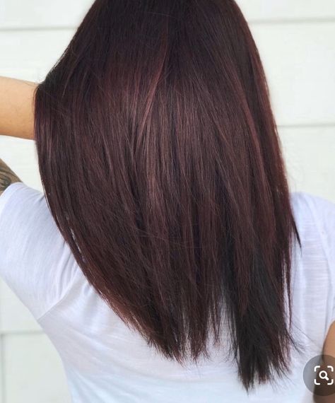 Brown Ombre Hair Color, Burgundy Hair Color, Dark Red Hair Color, Honey Blond, Brown Ombre Hair, Matrix Color, Violet Hair, Cooler Style, Hair Color Burgundy