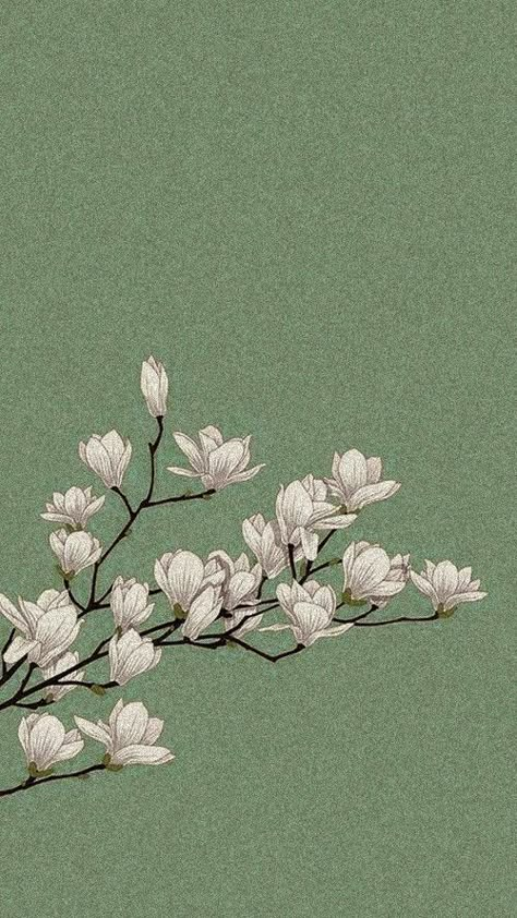 Sage Green Wallpaper Iphone, Green Flowers Wallpaper, Green Wallpaper Phone, Sage Green Art, Wallpaper Decor Ideas, Frühling Wallpaper, Sage Green Flowers, Green Wallpapers, Mint Green Aesthetic