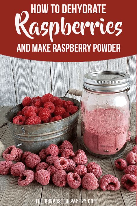 Preserve Raspberries throughout the year by dehydrating them and powdering. Here are easy steps to drying and powdering raspberries: Dehydrate Raspberries, Raspberry Powder, Yogurt Oatmeal, Food Dehydration, Freeze Dried Raspberries, Dried Raspberries, Freeze Dried Fruit, Dehydrated Fruit, Homemade Spices