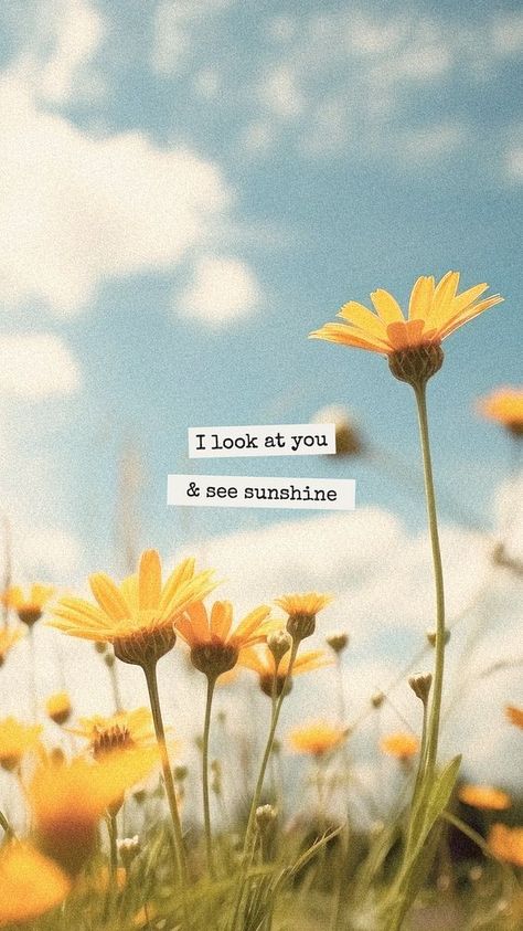 I look at you & see sunshine quote  mobile phone wallpaper template | premium image by rawpixel.com / Aew Girly Motivational Quotes, Summer Cute Wallpaper, Wallpaper Quotes Self Love, Cute Quotes Aesthetic, Grass Scenery, Phone Wallpaper Template, Wallpaper Sunflower, Positive Wallpaper, Spring Landscapes