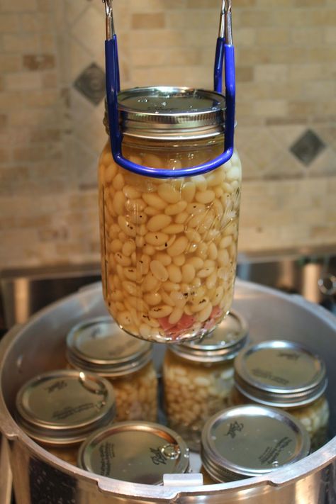 Ohio Thoughts: Bean Soup Canning Fresh Lima Beans, Canning Lima Beans, Canning Butter Beans, Canned Lima Beans, Lima Bean Recipes, Canning Beans, Cooking Grains, Pressure Canning Recipes, Homemade Beans