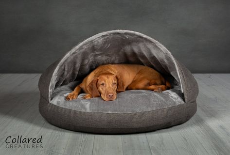 Built In Dog Bed, Dog Cave Bed, Cave Dog Bed, Luxury Cat Bed, Dog Cave, Cave Bed, Hooded Dog Bed, Designer Dog Beds, Covered Dog Bed