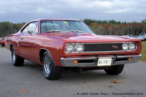 Dodge Coronet Super Bee, Dodge Super Bee, Dodge Coronet, Dodge Muscle Cars, Mopar Cars, Mopar Muscle Cars, Best Classic Cars, Best Muscle Cars, Mopar Muscle