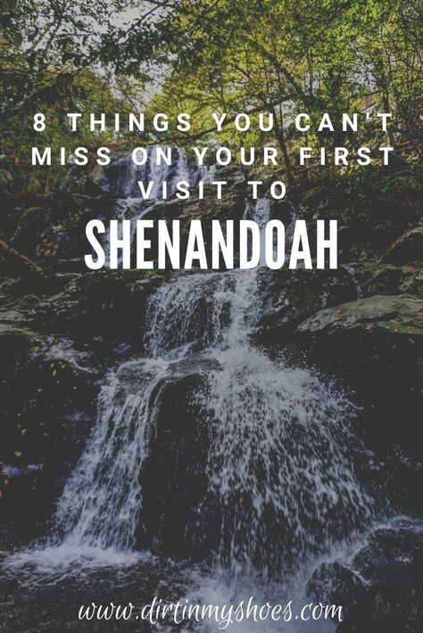 Shenandoah National Park Virginia, Things To Do Near Shenandoah National Park, Shanendoah National Park, Shenandoah National Park Hikes, Things To Do In Shenandoah National Park, Shendoah National Park, Skyline Drive Shenandoah National Parks, Shanadoah National Park, Gordonsville Virginia