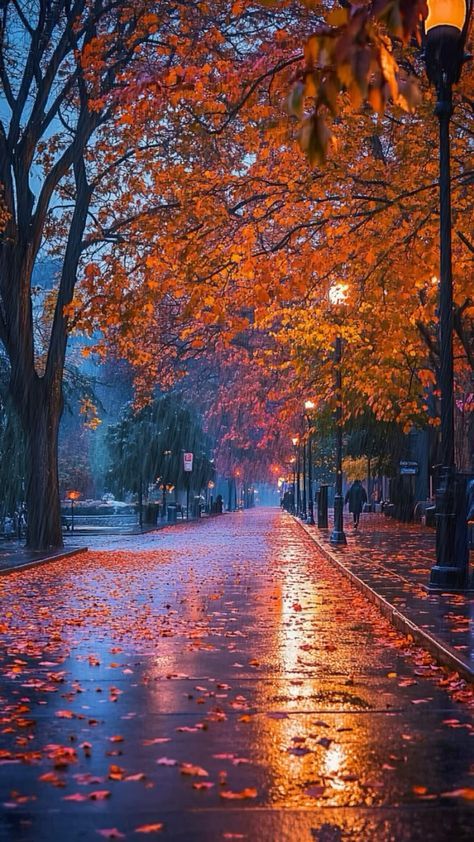 #BEAUTY, #RELATIONSHIPS #Fashion #Animals #Outfits #Winter Outfits #Animals Rainy Fall Aesthetic Wallpaper, Rainy Fall Wallpaper, Autumn Rain Wallpaper, Fall Season Wallpapers, Autumn Rain Aesthetic, Fall Rain Aesthetic, Fall Weather Aesthetic, Rainy Autumn Aesthetic, Rainy Fall Aesthetic