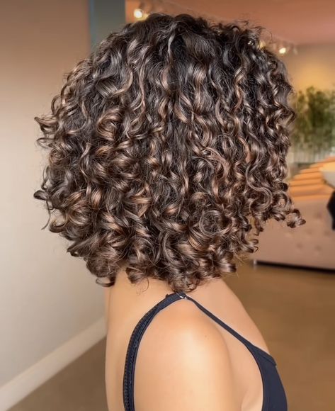 Black With Brown Highlights Curly Hair, Short Brown Curly Hairstyles, Short Curly Hair Ombre Balayage, Curly Short Highlights, Short Curly Hair From The Back, Shoulder Length Curly Hair Highlights, Lowlights For Brown Curly Hair, Highlights For Curly Hair Natural Curls Ombre Dark Brown Black, Brown Highlights On Brown Hair Curly