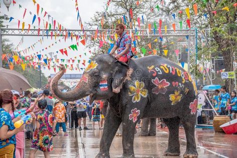 Elephant and peoples are splashing water in Songkran festival royalty free stock , #affiliate, #water, #Songkran, #splashing, #Elephant, #peoples #ad Festival Editorial, Thai New Year, Season Change, Karon Beach, Thailand Elephants, Songkran Festival, Monsoon Season, Patong Beach, Elephant Sanctuary