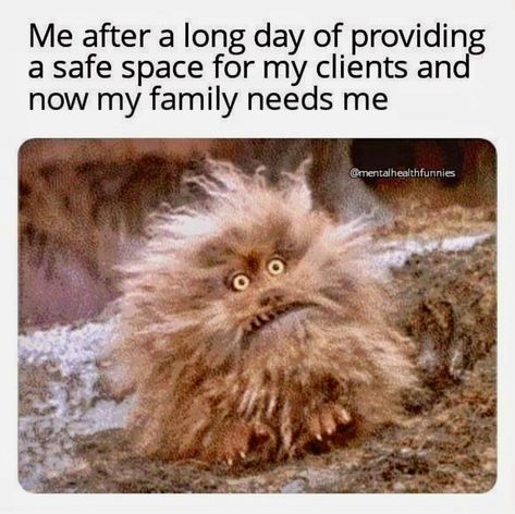 Counselor Memes Funny, Therapist Humor Memes Funny, Counselling Humour, Funny Therapist Quotes, Counselor Humor, Therapy Jokes, Counselling Theories, Work Humour, Business Meme