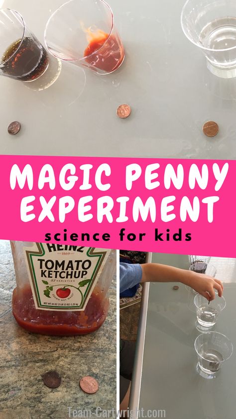 Text: Magic Penny Experiment Science for Kids. Top picture: pennies in front of cups with dark liquid, red liquid, and clear liquid. Bottom left picture: bottle of ketchup in front of one dirty penny and one clean penny. Bottom right picture: Child putting penny in cups of liquids. Mario Science Experiment, Preschool Chemistry, Penny Experiment, Clean Pennies, Cleaning Pennies, Experiment For Preschoolers, Aunt Things, Flask Science, How To Clean Pennies