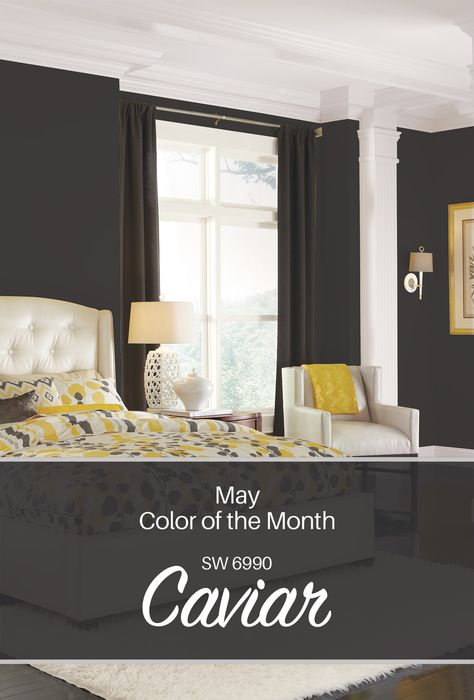 Sherwin-Williams' May Color of the Month: Caviar SW 6990 Sherwin Williams Caviar Accent Wall, Bedroom Wall Colors Sherwin Williams, Wall Colors Sherwin Williams, Sw Caviar, Caviar Sherwin Williams, Caviar Paint, Paint Walls, Color Of The Month, Black Paint Color