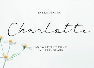 Charlotte Handwritten Font Charlotte Name Calligraphy, Charlotte In Cursive, Charlotte Name Tattoo, Charlotte Tattoo Ideas, Label Fonts, Charlotte Name, Charlotte Tattoo, Princess Font, Type Branding