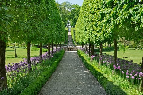 dam images decor 2014 07 garden allees garden allees 01 buscot park - pleached hornbeam trees Espalier Trees, Lined Driveway, Pleached Trees, Shade Tolerant Plants, Tree Lined Driveway, Dallas Arboretum, Longwood Gardens, Formal Garden, Country Landscaping