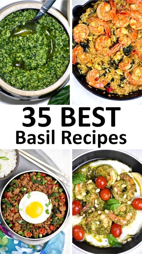 Recipes With Basil Leaves, Recipes With Basil, Easy Pesto Sauce, Creamy Basil Dressing, Tomato Butter Sauce, Beef Noodle Stir Fry, Basil Smoothie, Basil Fried Rice, Fresh Basil Recipes